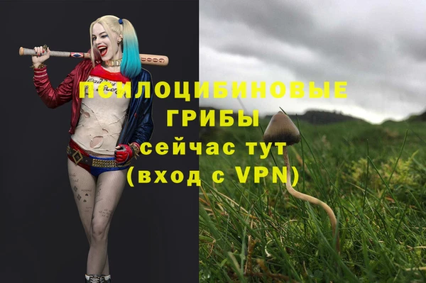 кокс Армянск