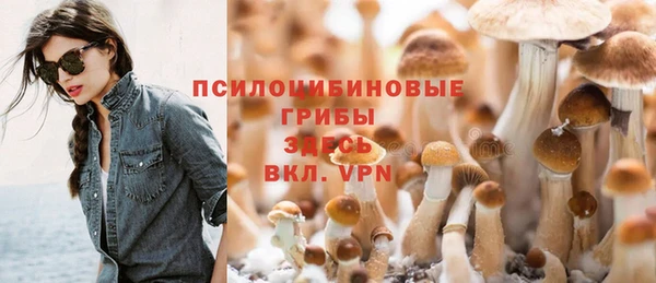 тгк Арсеньев