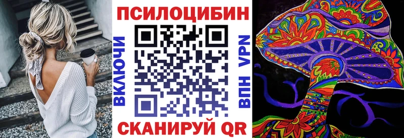 Псилоцибиновые грибы мицелий  Купить  Покров 